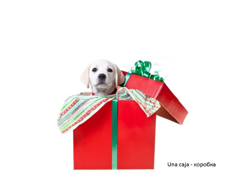 Una caja - коробка